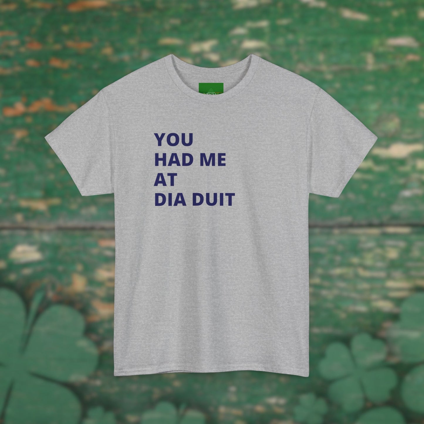 You Had Me at Día Duit" T-shirt