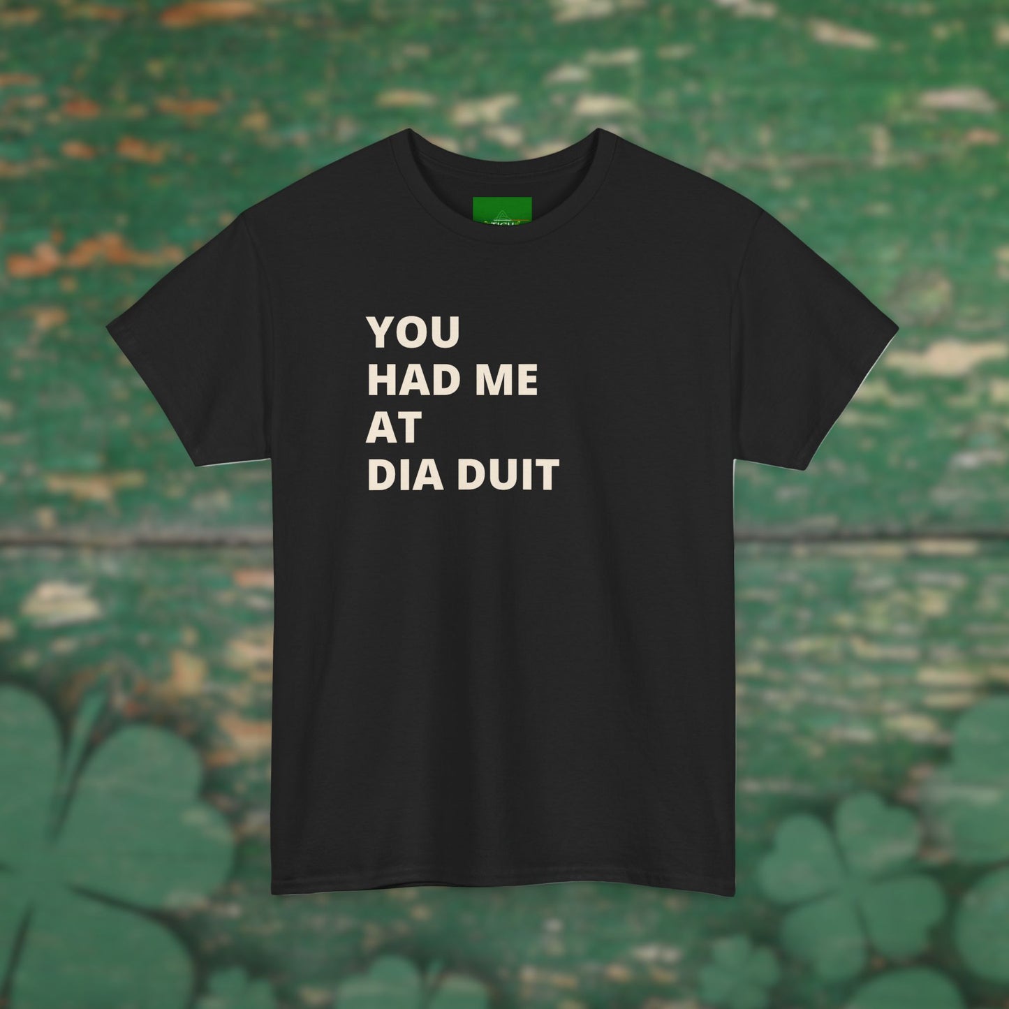 You Had Me at Día Duit" T-shirt