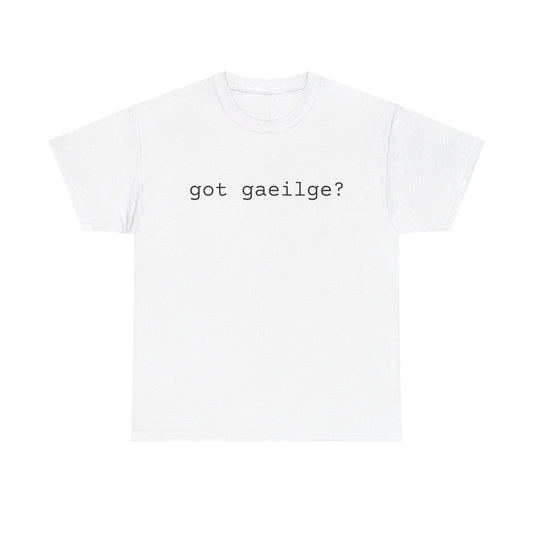 Got Gaeilge ?  Comfy Cotton Tee