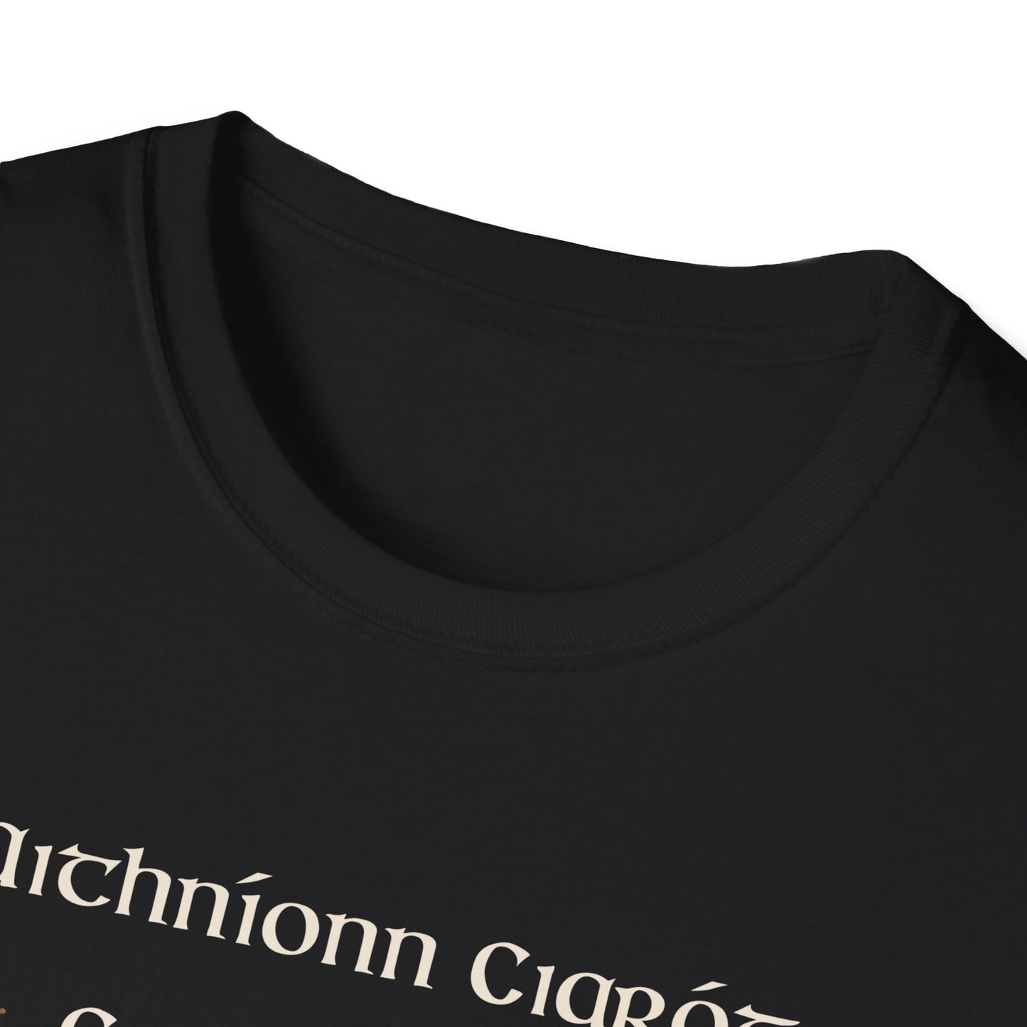 Aithníonn Ciaróg Ciaróg Eile (It takes one to know one) Soft T-Shirt