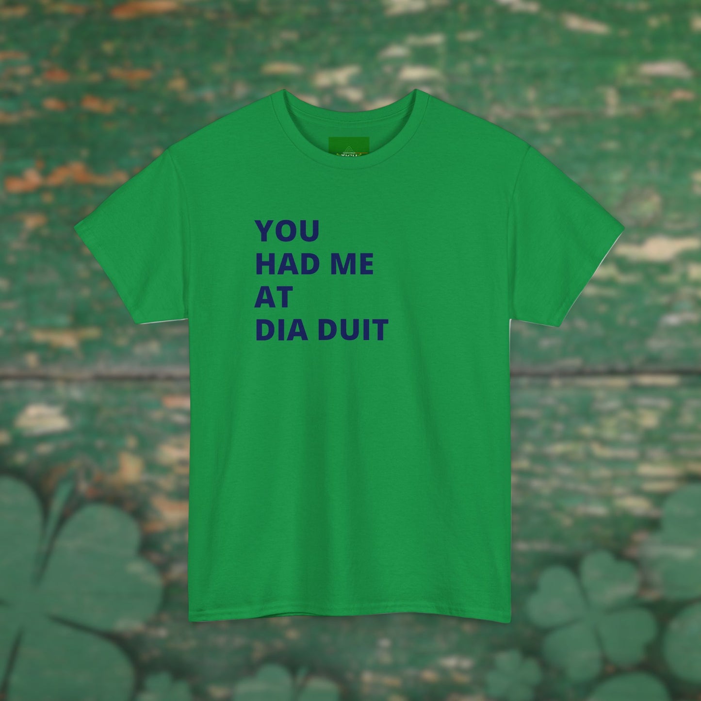 You Had Me at Día Duit" T-shirt